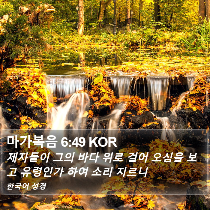 마가복음 6:49 KOR Bible Study