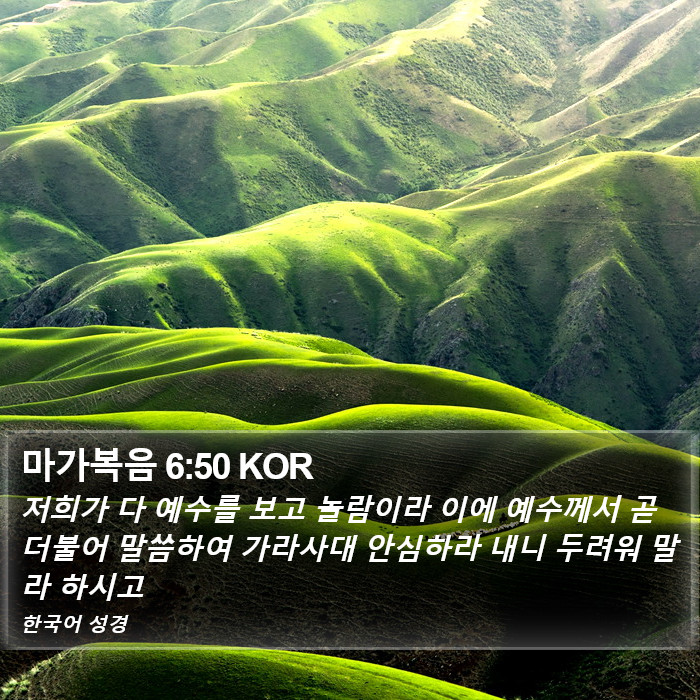 마가복음 6:50 KOR Bible Study