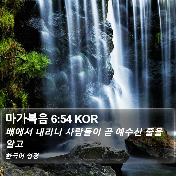 마가복음 6:54 KOR Bible Study