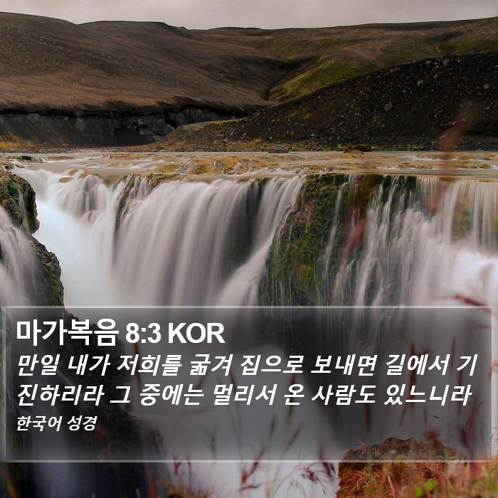 마가복음 8:3 KOR Bible Study