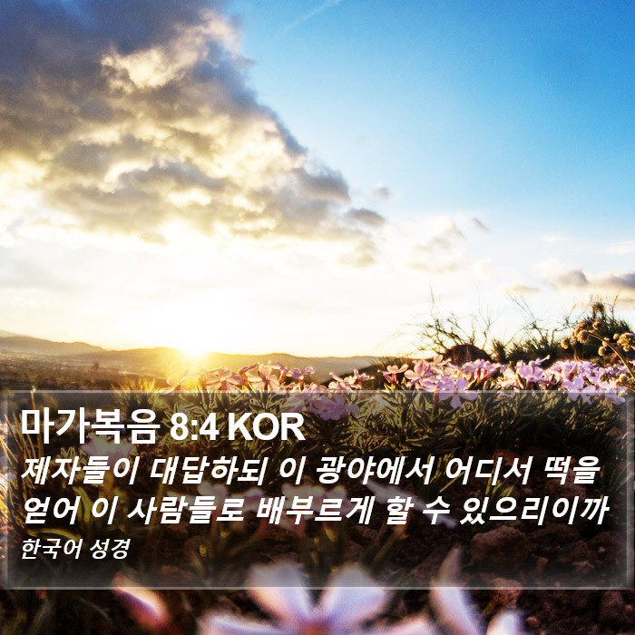 마가복음 8:4 KOR Bible Study