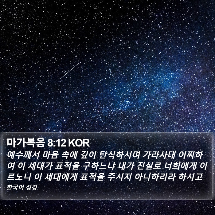 마가복음 8:12 KOR Bible Study