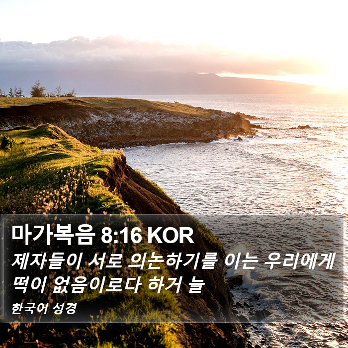 마가복음 8:16 KOR Bible Study