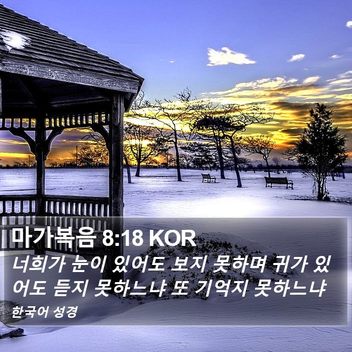 마가복음 8:18 KOR Bible Study