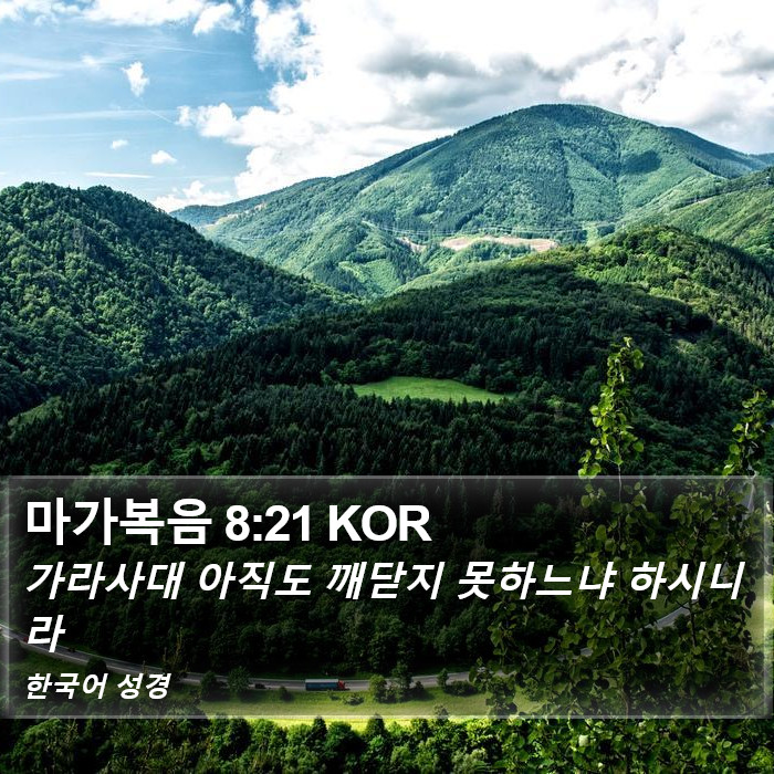 마가복음 8:21 KOR Bible Study