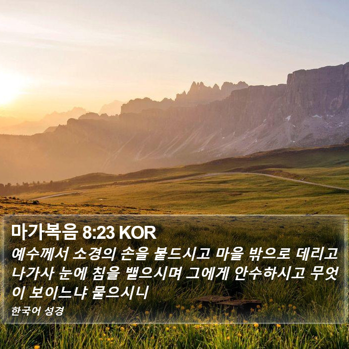 마가복음 8:23 KOR Bible Study