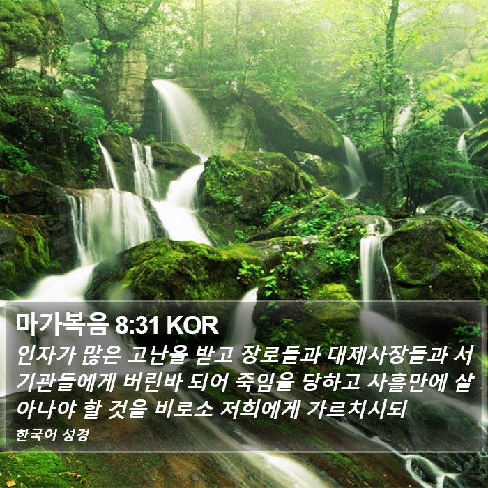 마가복음 8:31 KOR Bible Study