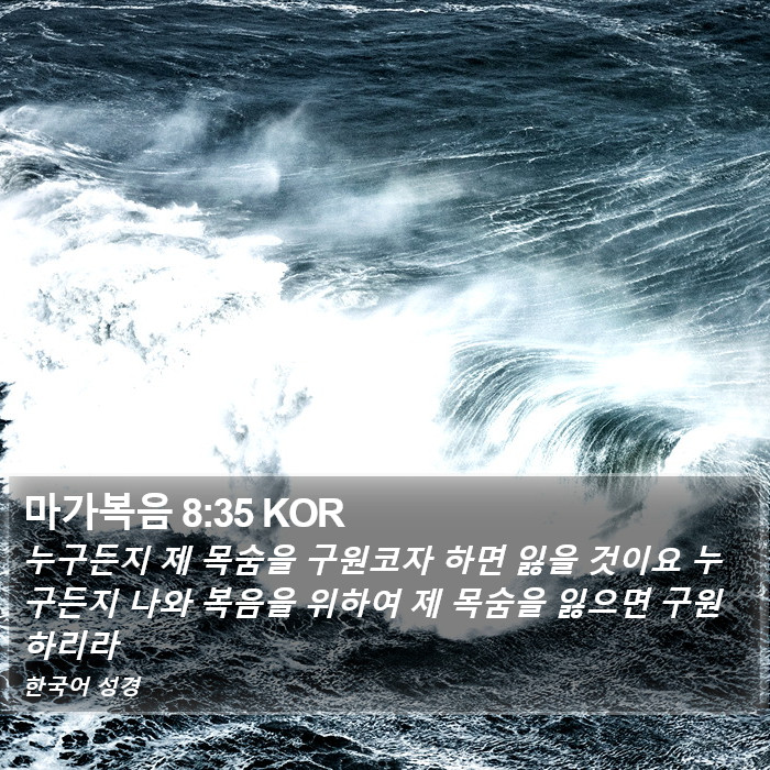 마가복음 8:35 KOR Bible Study