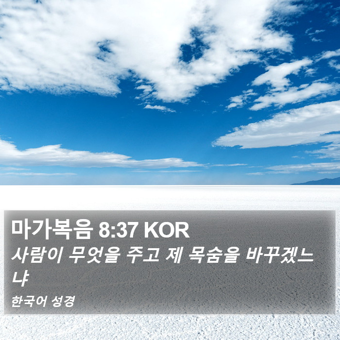 마가복음 8:37 KOR Bible Study