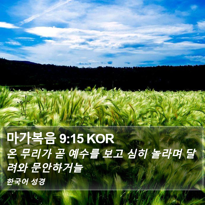 마가복음 9:15 KOR Bible Study