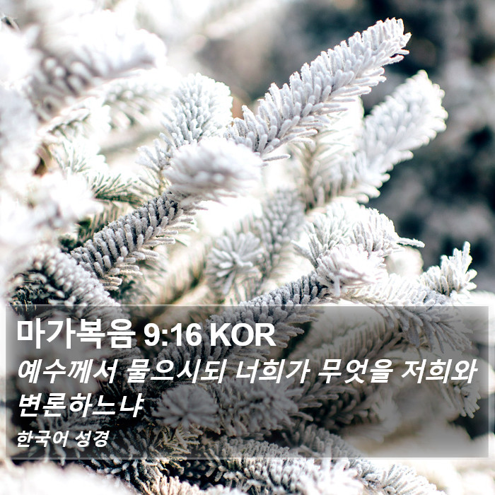 마가복음 9:16 KOR Bible Study