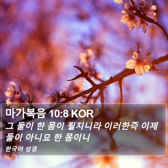 마가복음 10:8 KOR Bible Study