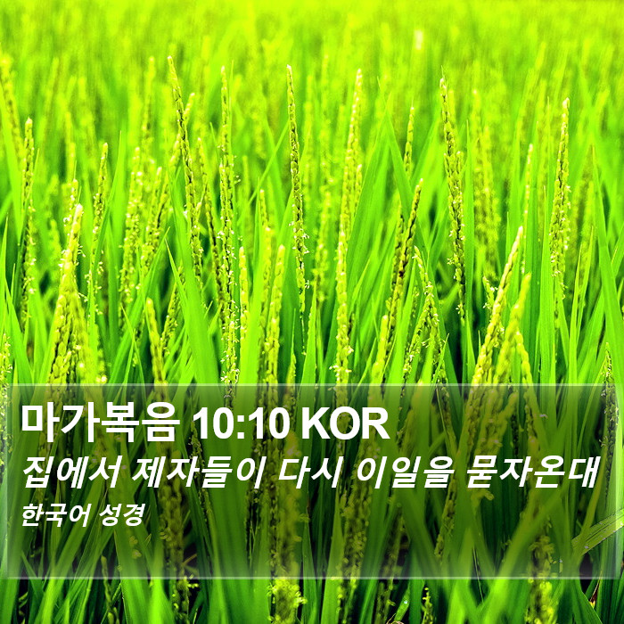 마가복음 10:10 KOR Bible Study