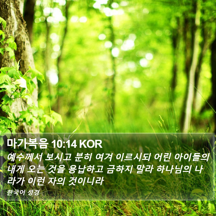 마가복음 10:14 KOR Bible Study