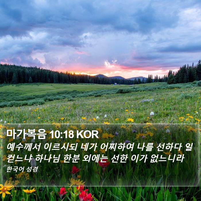 마가복음 10:18 KOR Bible Study