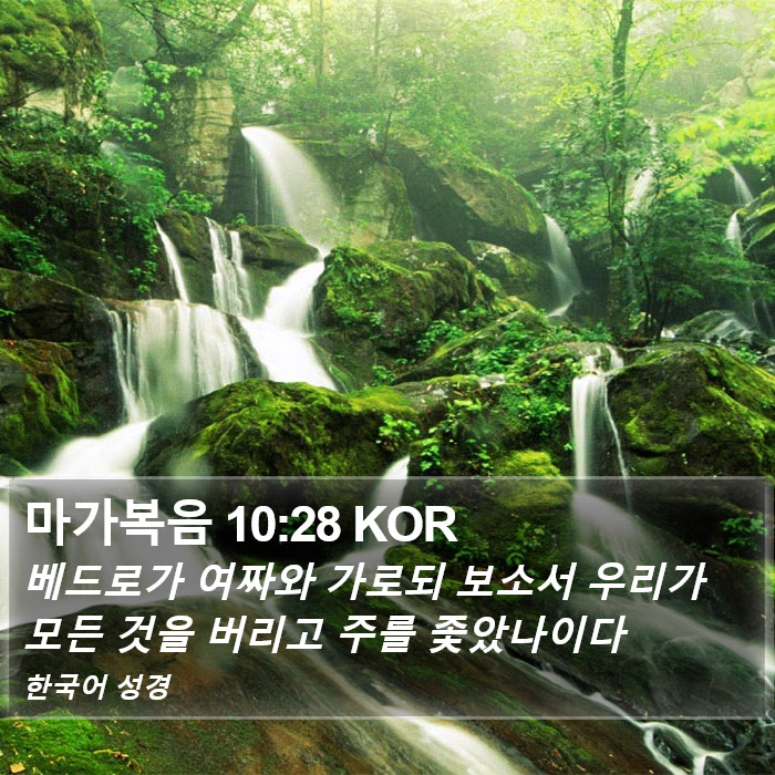 마가복음 10:28 KOR Bible Study