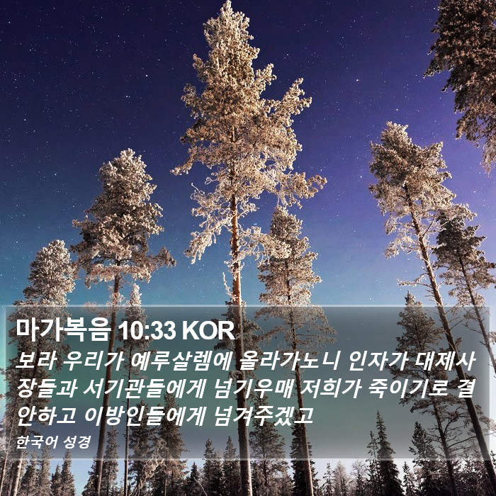 마가복음 10:33 KOR Bible Study