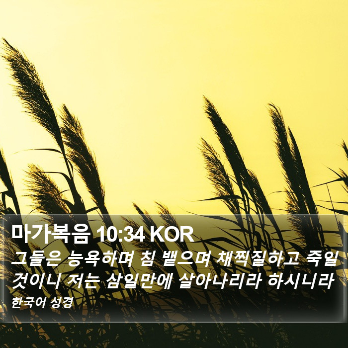 마가복음 10:34 KOR Bible Study