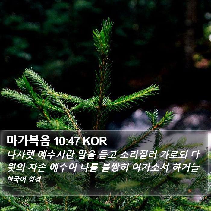 마가복음 10:47 KOR Bible Study