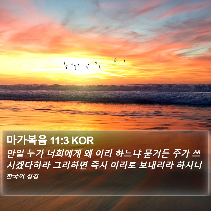 마가복음 11:3 KOR Bible Study