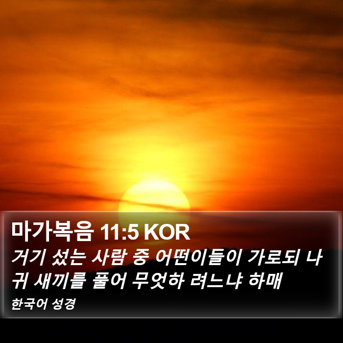 마가복음 11:5 KOR Bible Study