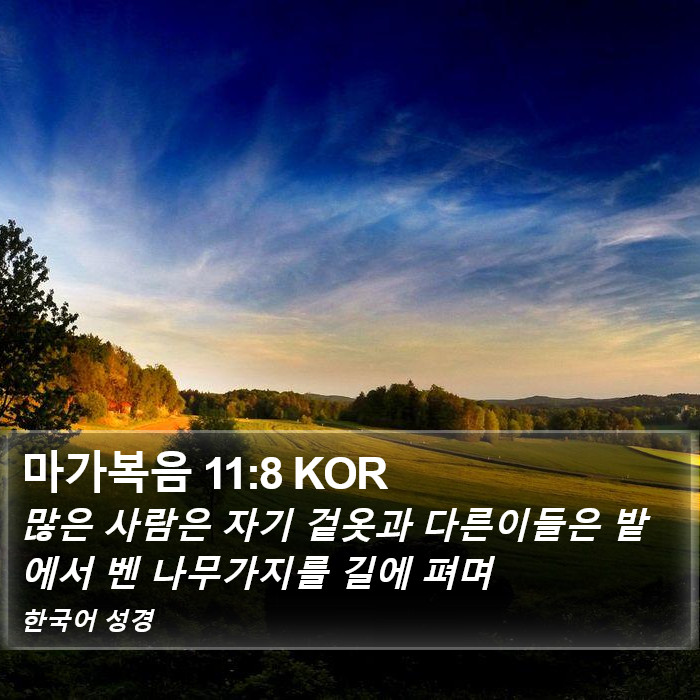 마가복음 11:8 KOR Bible Study