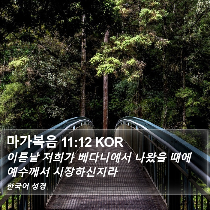 마가복음 11:12 KOR Bible Study