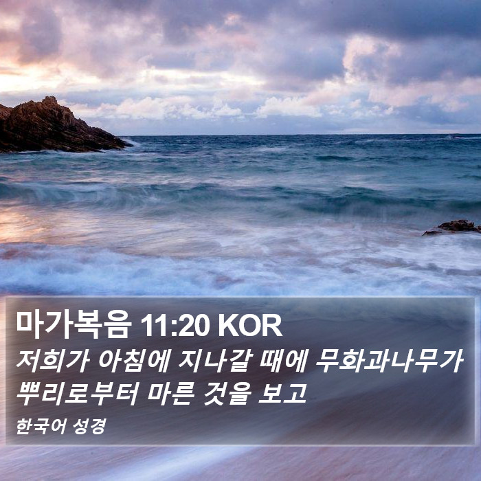 마가복음 11:20 KOR Bible Study