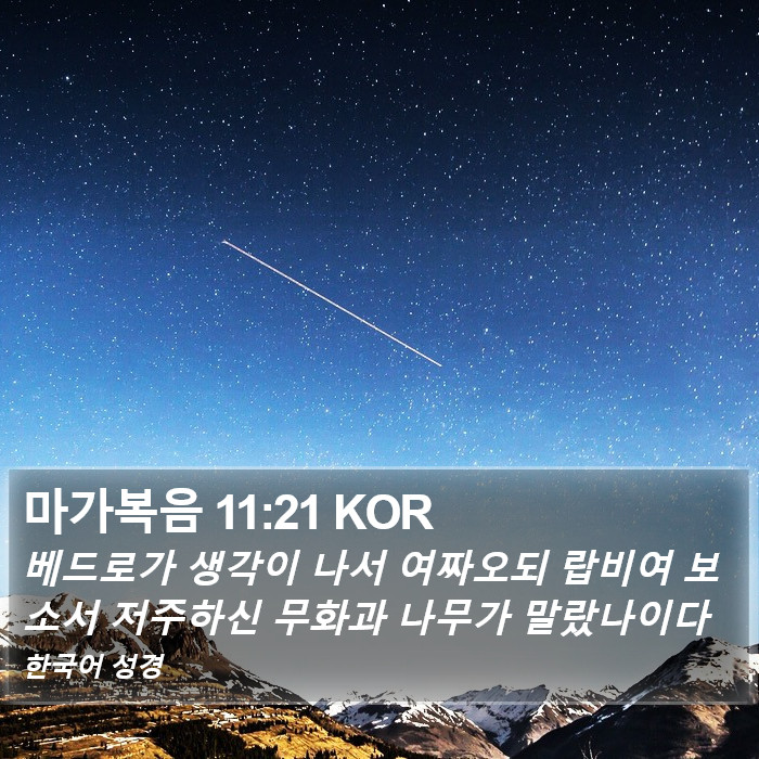 마가복음 11:21 KOR Bible Study