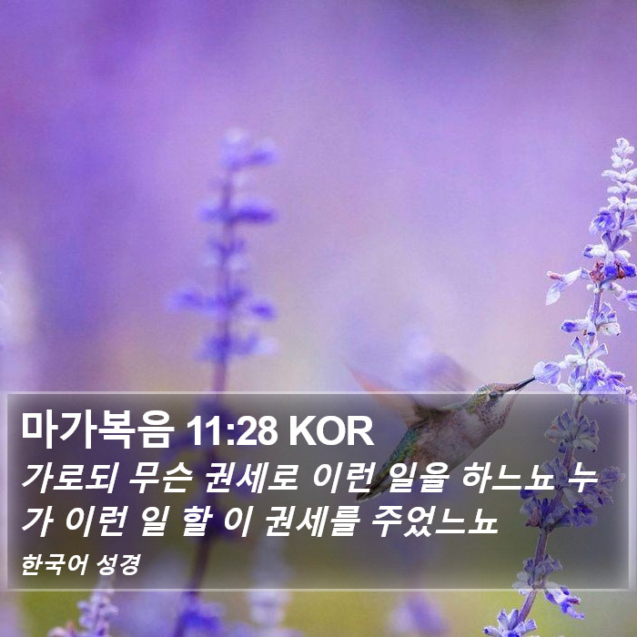 마가복음 11:28 KOR Bible Study