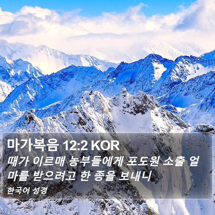 마가복음 12:2 KOR Bible Study