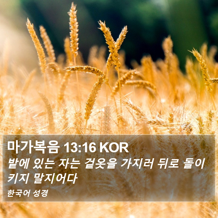 마가복음 13:16 KOR Bible Study