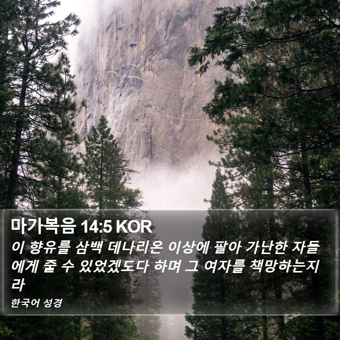마가복음 14:5 KOR Bible Study