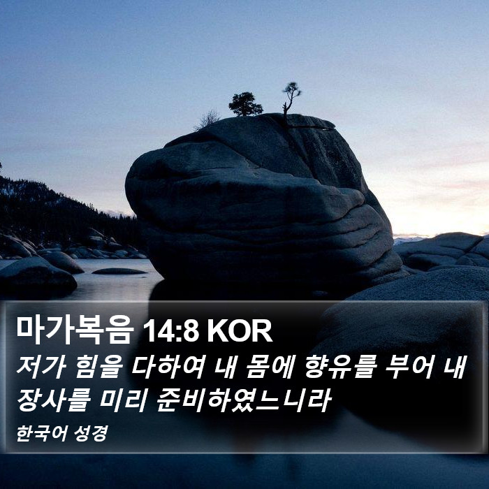 마가복음 14:8 KOR Bible Study