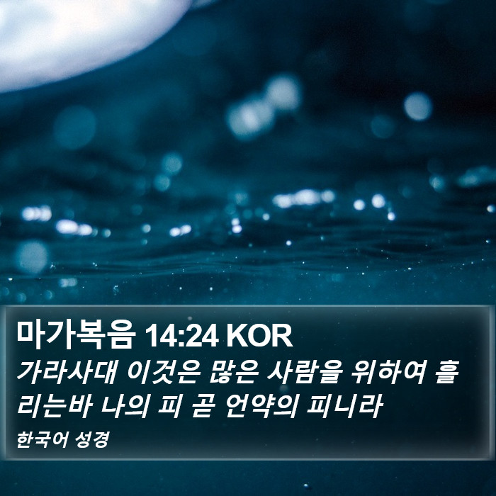 마가복음 14:24 KOR Bible Study