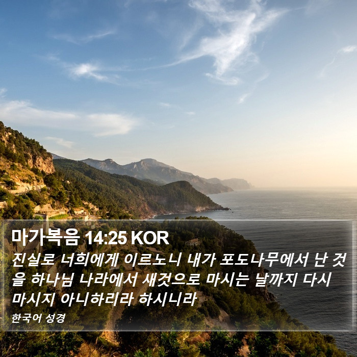 마가복음 14:25 KOR Bible Study