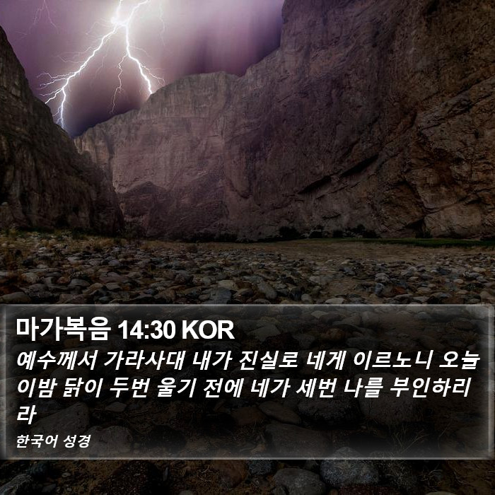 마가복음 14:30 KOR Bible Study
