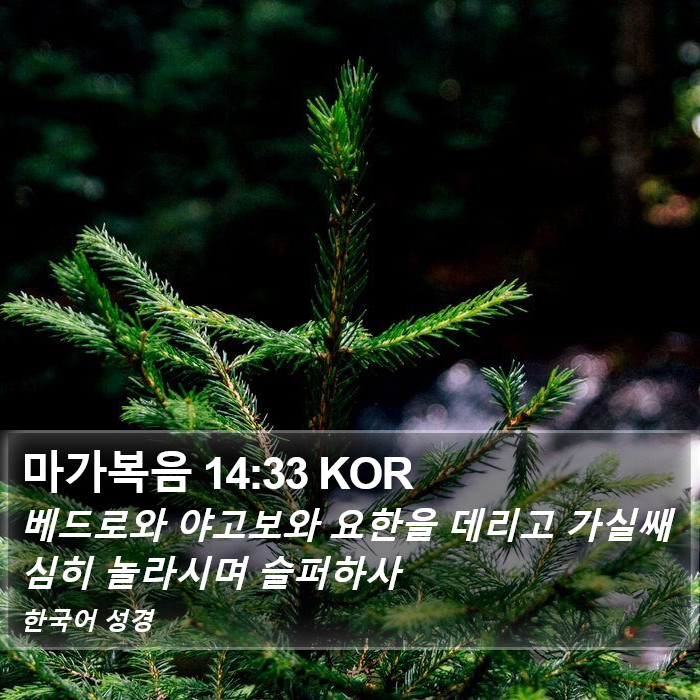 마가복음 14:33 KOR Bible Study