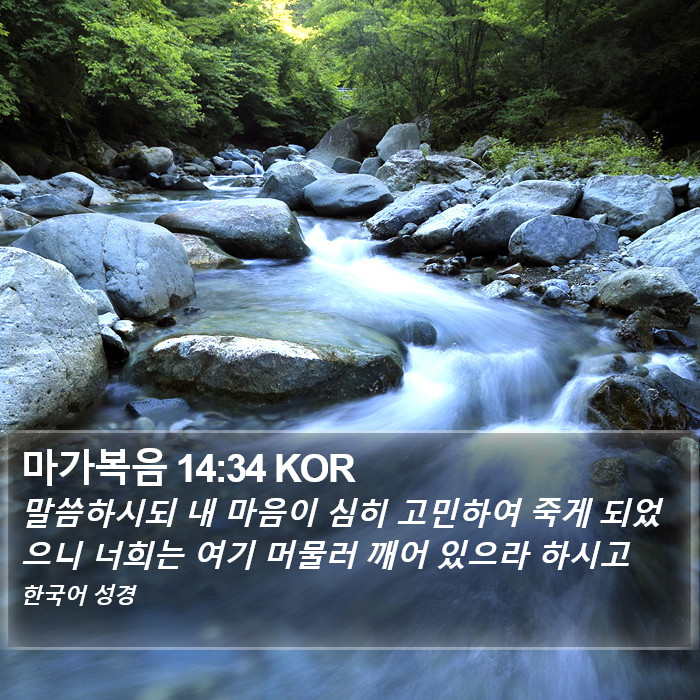 마가복음 14:34 KOR Bible Study
