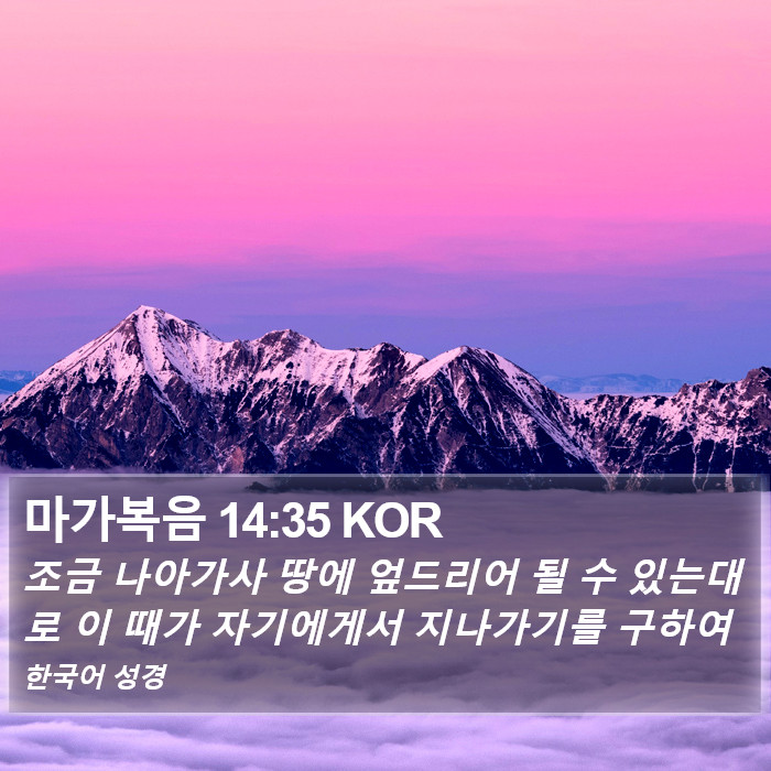 마가복음 14:35 KOR Bible Study