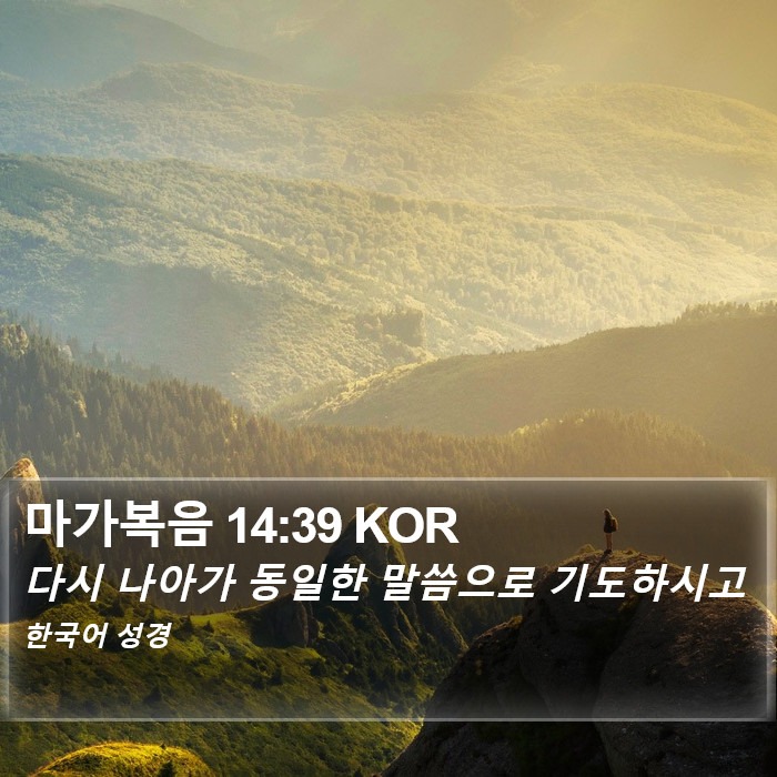 마가복음 14:39 KOR Bible Study