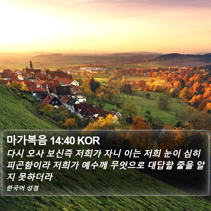 마가복음 14:40 KOR Bible Study