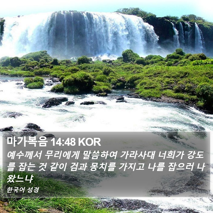 마가복음 14:48 KOR Bible Study
