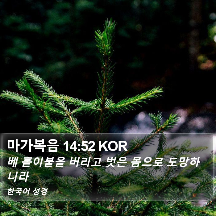 마가복음 14:52 KOR Bible Study