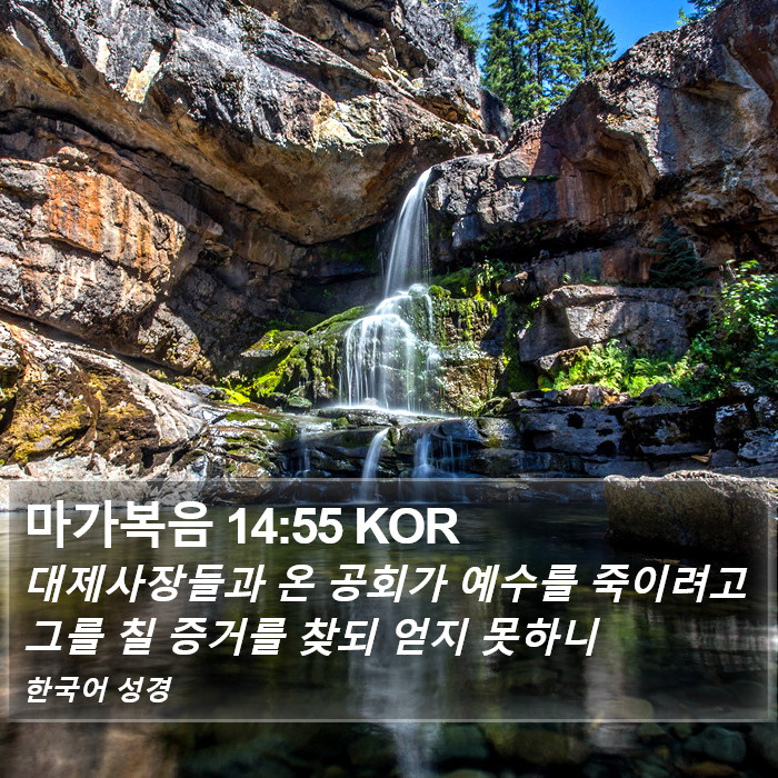 마가복음 14:55 KOR Bible Study