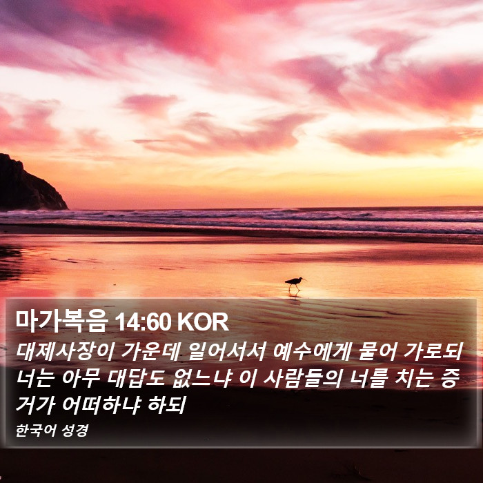 마가복음 14:60 KOR Bible Study