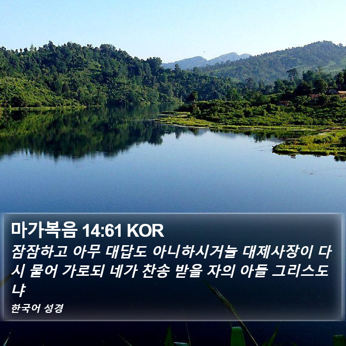 마가복음 14:61 KOR Bible Study