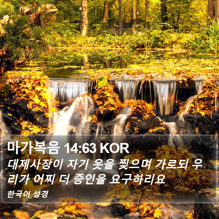마가복음 14:63 KOR Bible Study