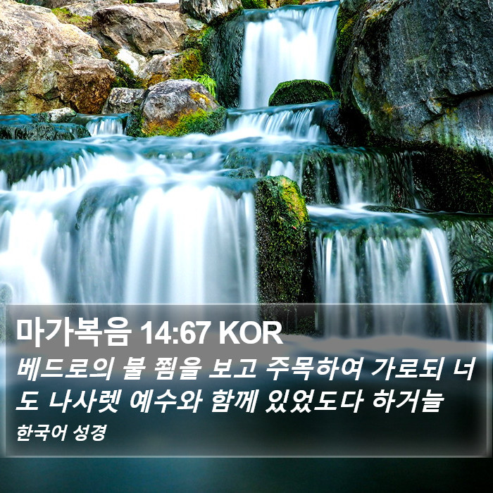 마가복음 14:67 KOR Bible Study