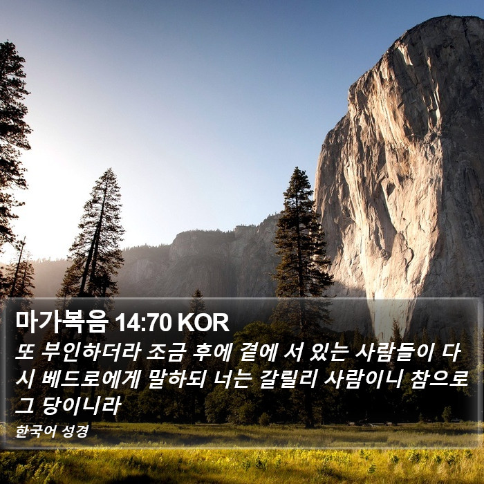 마가복음 14:70 KOR Bible Study